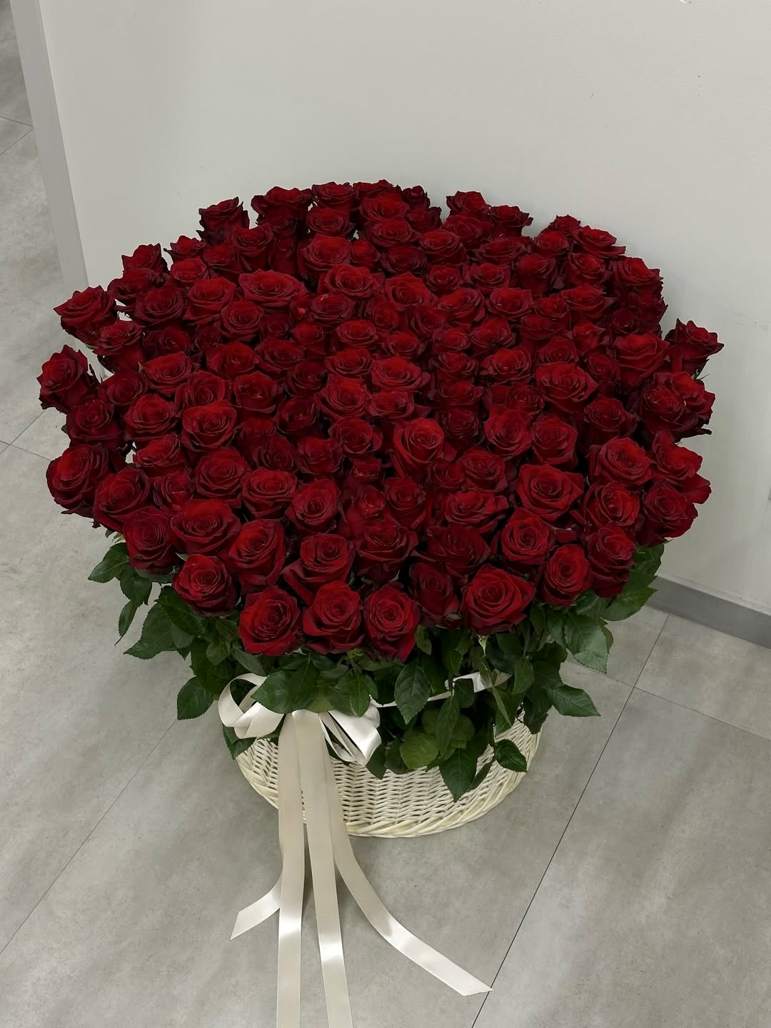 Корзина из 121 красной розы