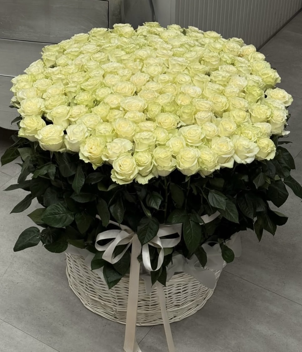 Корзина из 131 белой розы