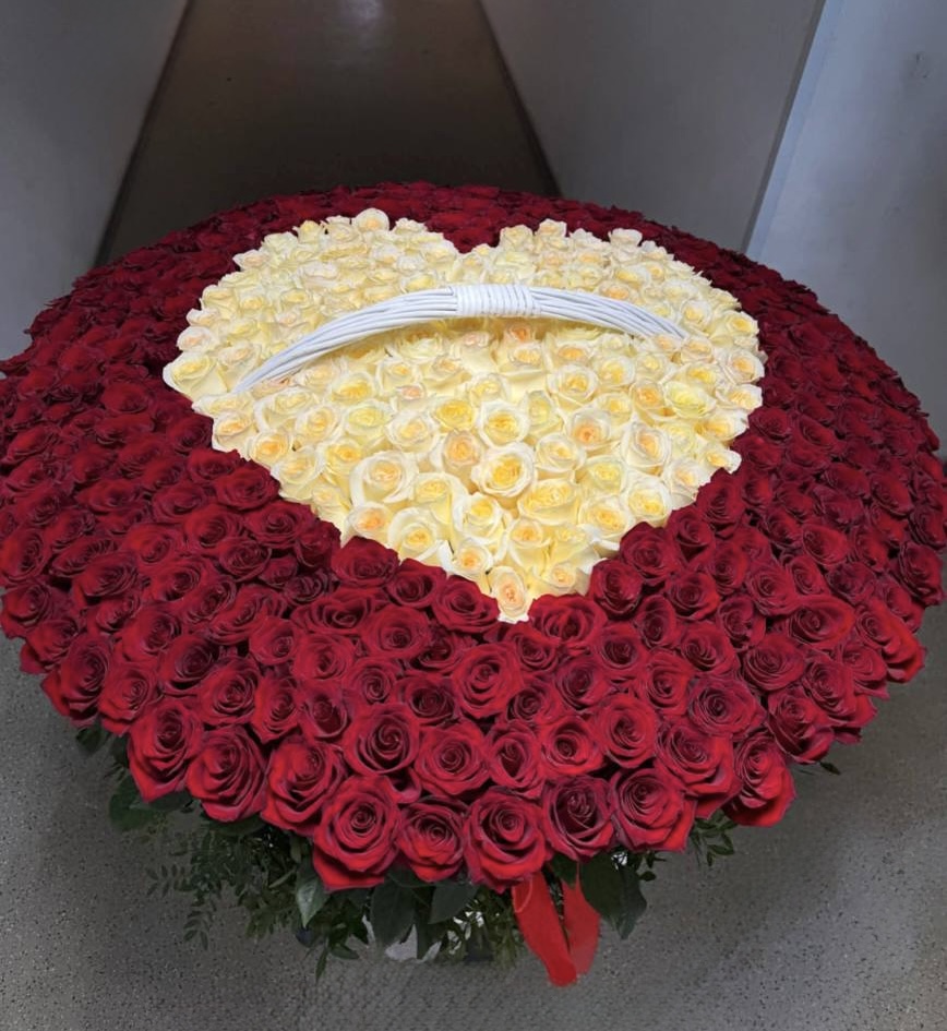 Букет из 501 красной и белой розы в форме сердца
